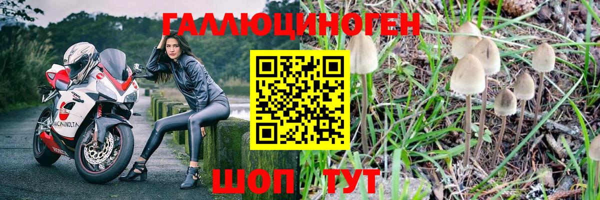Набережные Челны  закладки  Вход с VPN  Галлюциногенные грибы Psilocybe 